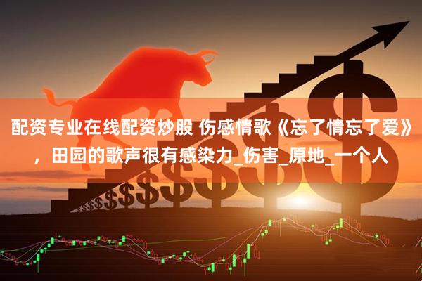 配资专业在线配资炒股 伤感情歌《忘了情忘了爱》，田园的歌声很有感染力_伤害_原地_一个人