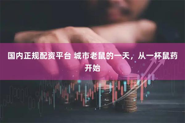 国内正规配资平台 城市老鼠的一天,从一杯鼠药开始
