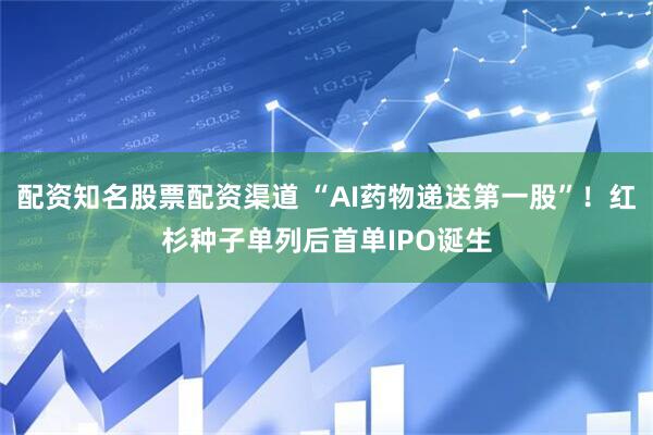 配资知名股票配资渠道 “AI药物递送第一股”！红杉种子单列后首单IPO诞生